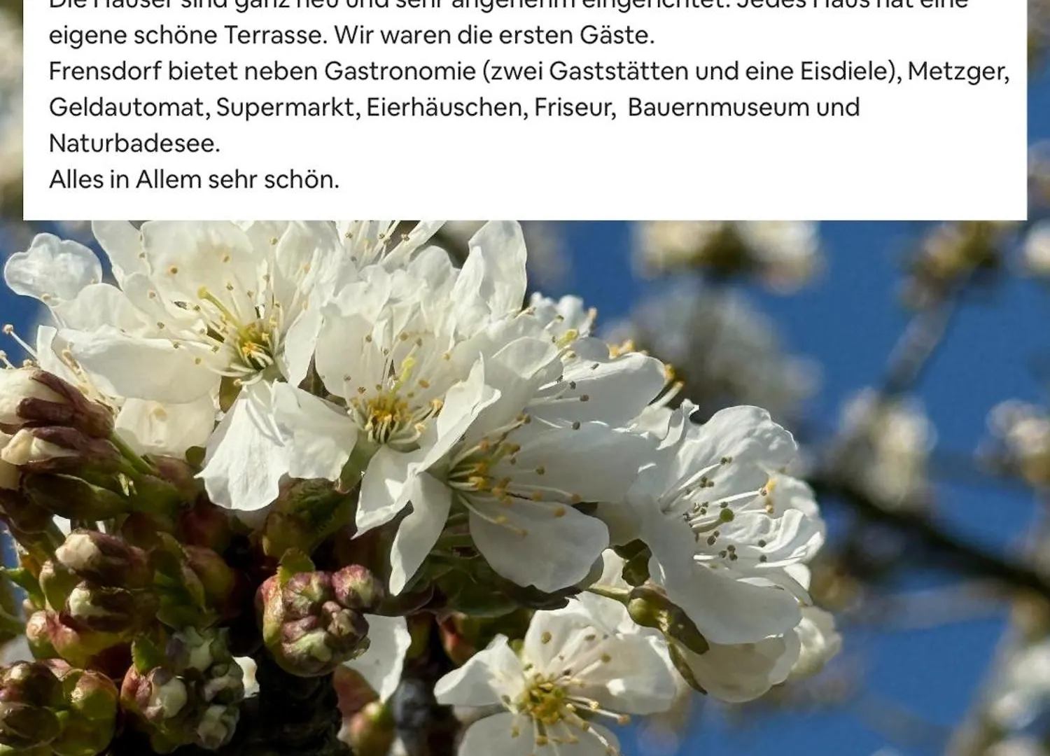 בקתה Frensdorf Neu - Chestnut, Deine Feinzeit Lodge