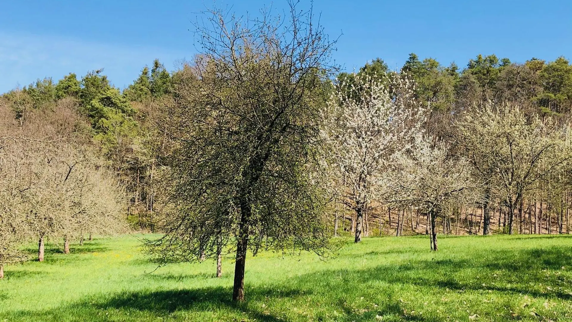 בקתה Frensdorf Neu - Chestnut, Deine Feinzeit Lodge